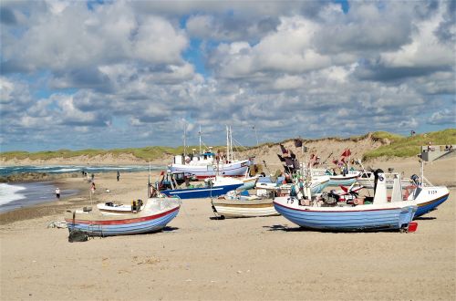 Papludimys, Valtys, Šiaurės Jūra, Šventė, Denmark