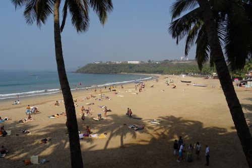 Papludimys, Jūra, Arabų, Smėlis, Goa