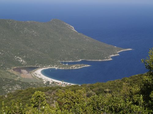 Papludimys, Graikija, Φωκιανός