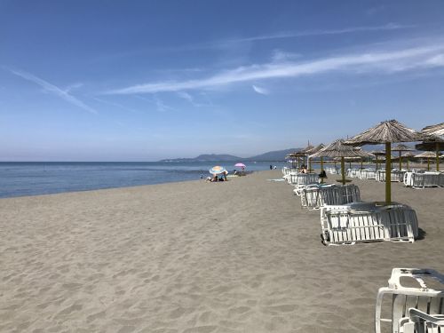 Papludimys, Montenegro, Ada Bojana