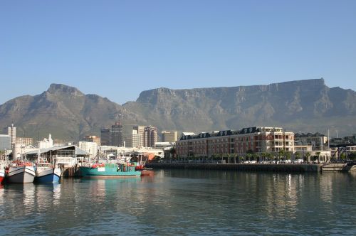 Papludimys, Cape Town, Mesas