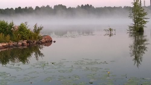 Papludimys, Rūkas, Ežeras, Vanduo, Kraštovaizdis, Vaizdingas, Ramus