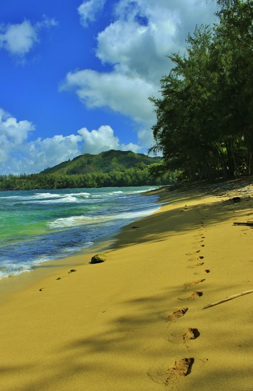 Papludimys, Takelius, Smėlėtas Paplūdimys, Smėlis, Pėdsakai, Hanalei, Kauai, Hawaii, Atostogos