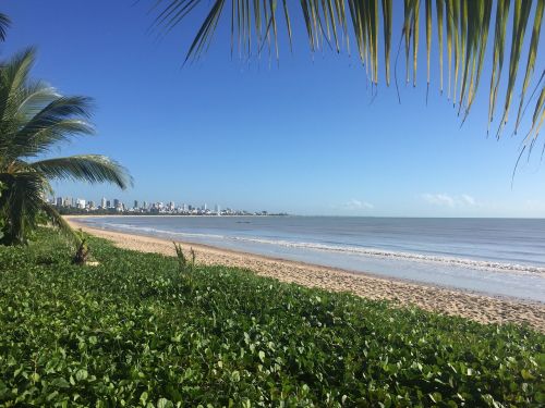 Papludimys, Recife, Mar