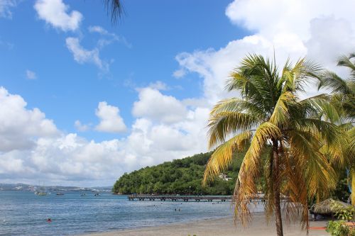 Papludimys, Martinique, Fort De France, Karibai, Saulė, Palmės, Dangus, Egzotiškas, Atostogos, Sala
