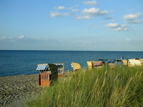 Papludimys, Smėlis, Baltijos Jūra