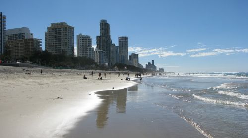 Papludimys, Brisbane, Australia