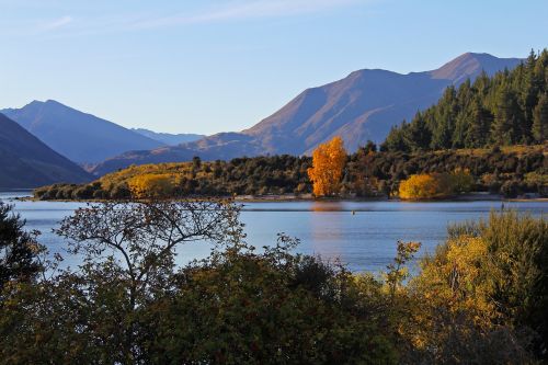 Gražus, Ežeras, Mėlynas, Enchanting, Grožis, Ežeras Wanaka, Medis, Kalnas, Wanaka, Naujoji Zelandija