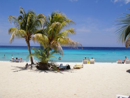 Nuostabus Paplūdimys, Palmės, Curacao, Antilai, Karibai