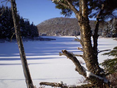 Ežeras,  Žiema,  Sniegas,  Sušaldyta,  Gamta,  Sezonas,  Miškas,  Kalnas,  Chalet,  Graži Žiemos Diena