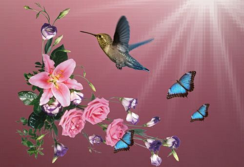 Beija Flor, Hummingbirds, Paukščiai, Gėlės, Šviesa, Gamta, Kolibris, Dekoratyvinė Gėlė, Skraidantis, Pavasaris, Drugeliai, Sodas, Augalas, Spalvinga, Dekoratyvinės Gėlės