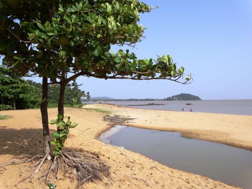 Beira Mar, Orla, Cayenne, Prancūzijos Gviana