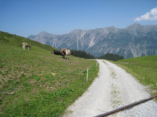 Berge, Žemės Sklypas, Alpe