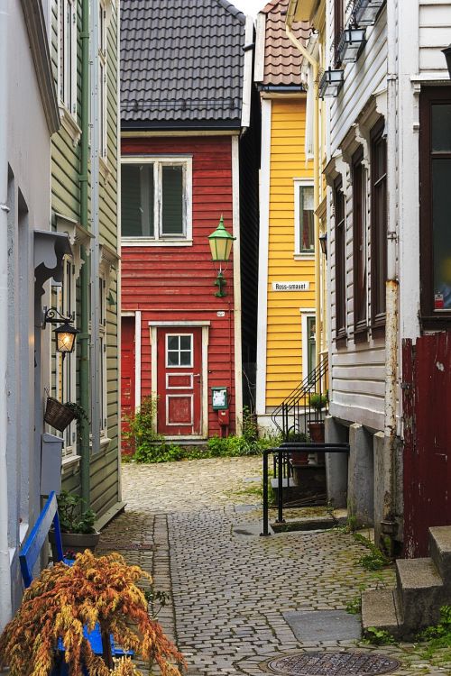 Bergen, Norvegija, Kelionė, Europa, Architektūra, Namas, Turizmas, Pastatas, Senas, Lauke, Gatvė, Norvegų, Eksterjeras, Nordic