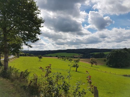 Bergisches Žemė, Gamta, Kraštovaizdis, Pieva