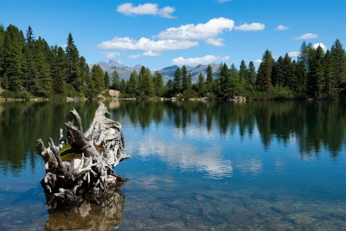 Bergsee, Vasara, Alpių, Ežeras, Gamta, Kraštovaizdis, Miškas