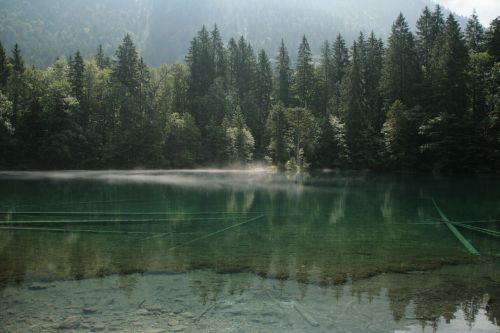 Bergsee, Alpių, Ežeras, Rūkas, Veidrodis, Vanduo, Gamta