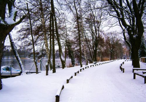 Berlin-Konradshohe, Vokietija, Parkas, Žiema, Sniegas, Takas, Tress, Gamta, Lauke