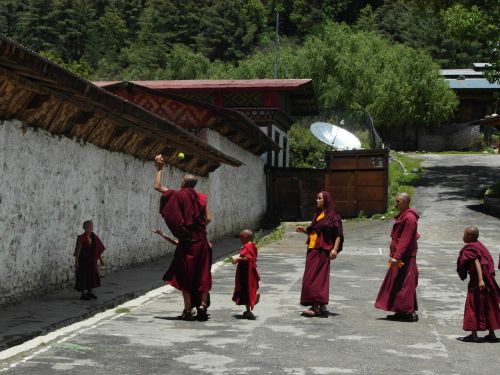 Butanas, Vienuoliai, Budizmas, Vienuolynas