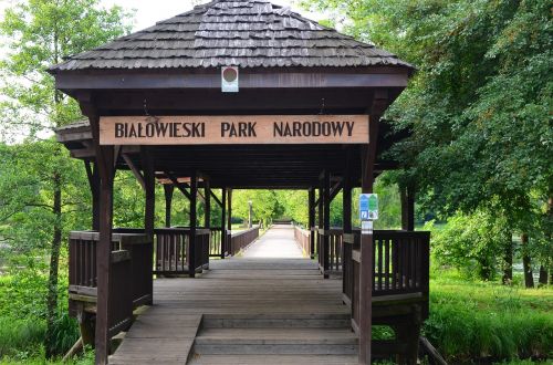Białowieża, Nacionalinis Parkas, Įėjimas