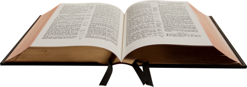 Biblija, Knyga, Krikščionis, Šventas, Skaitymas, Žinios, Studijuoti, Storas