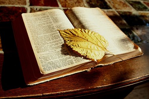 Biblija, Skaityti, Knyga, Žyma, Tikėjimas, Krikščionis, Stalas