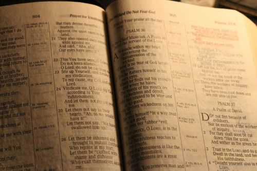 Biblija, Šventoji Knyga, Studijuoti, Krikščionis, Krikščionybė, Jėzus, Krikščionis, Istorija, Skaitymas, Malda, Meldžiasi