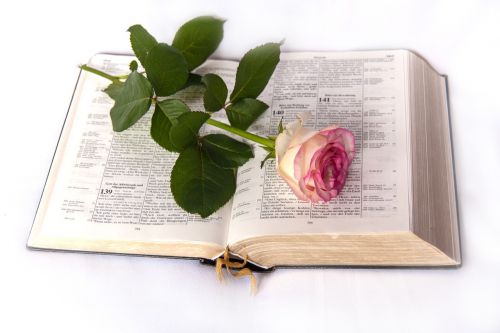 Biblija, Rožė, Bažnyčia