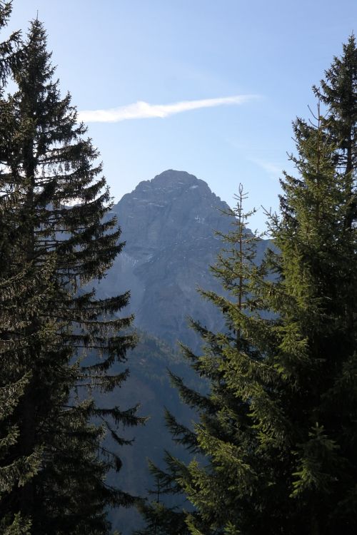 Didelis Aries Akmuo, Kalnas, Alpių, Aries Akmuo, Vorarlbergas, Allgäu Alpės, Walser Slėnio Kalnai, Medžiai, Eglės, Perspektyva, Aukščiausiojo Lygio Susitikimas, Kalnų Viršūnių Susitikimas