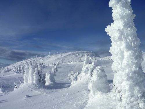 Didelis Baltas, Kanada, Sniegas, Kraštovaizdis, Žiema, Kalnas, Slidinėjimas Alpėse