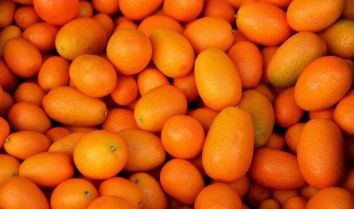 Vaisiai, Oranžinė, Kumquat, Neuždirbtas, Turgus, Pirkimas, Sveikas, Bio, Maistas, Naturkost