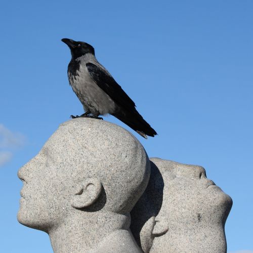 Norvegija, Oslo, Vigeland Parkas, Skulptūra, Parkas, Varna, Paukštis, Natūralus