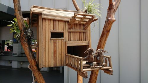 Paukštis, Namas, Bambukas