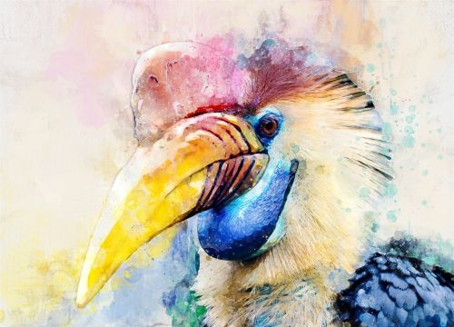 Paukštis, Egzotiškas, Nuotrauka, Gamta, Akvarelė