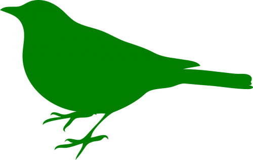 Paukštis, Gyvūnas, Siluetas, Žalias, Plunksnos, Finch, Nemokama Vektorinė Grafika