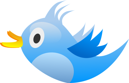 Paukštis, Twitter, Mėlynas, Socialinis, Tinklas, Skristi, Skrydis, Snapas, Sparnai, Animacinis Filmas, Nemokama Vektorinė Grafika