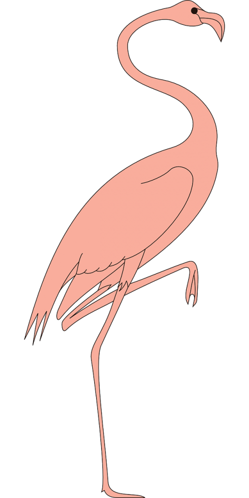 Paukštis, Kojos, Pakeltas, Flamingo, Sparnai, Ilgai, Kaklas, Plunksnos, Nemokama Vektorinė Grafika