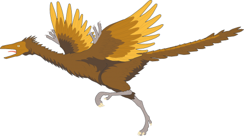 Paukštis, Bėgimas, Sparnai, Senovės, Archeopteryx, Plunksnos, Nemokama Vektorinė Grafika