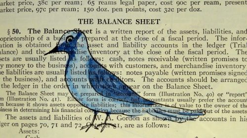 Paukštis, Knyga, Dizainas, Popierius, Vintage, Gyvūnas, Puslapis, Mielas, Piešimas, Skaitymas, Menas, Mėlynas, Mėlynas Paukštis