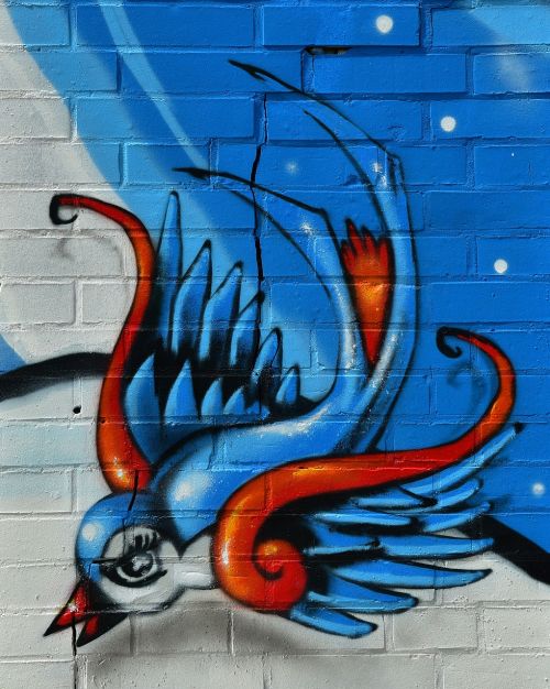 Paukštis, Graffity, Hauswand, Sienų Tapyba, Spalvinga, Kūrybingas, Menas