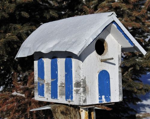 Paukščių Namai, Paukštis, Birdhouse