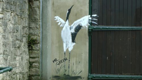 Paukštis,  Paukščiai,  Dažymas,  Paveikslai,  Grafiti,  Laukinė Gamta,  Paukščio Tapyba Ant Sienos