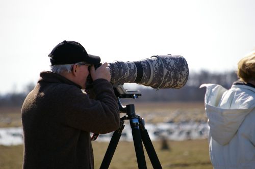 Paukščių Stebėtojai, Fotoaparatas, Vyras, Lauko Gyvenimas