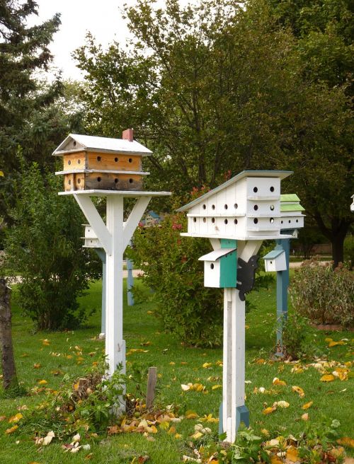 Birdhouse, Paukštis, Laukinė Gamta, Namas, Gamta
