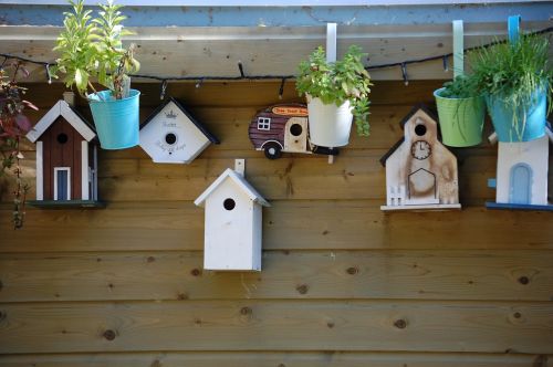 Birdhouse, Gamta, Paukštis, Medinis Namas