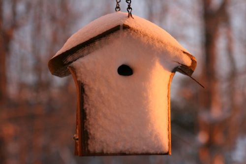 Birdhouse, Sniegas, Žiemos Stebuklų Šalis, Prisnigo Į, Gamta, Žiema