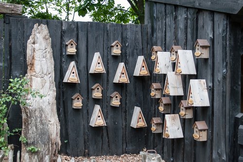 Birdhouse,  Lizdą Dėžutės,  Medienos Paukštis Narvas,  Paukščių Namai,  Tvora,  Lauko