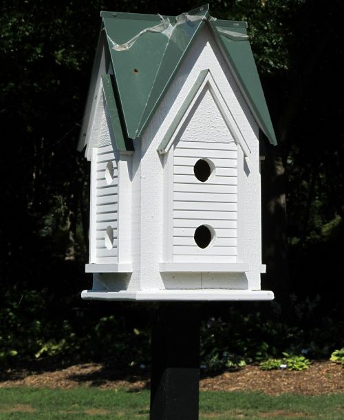 Birdhouse, Paukščiai Namuose, Lizdas, Balta, Paukščiai, Paukščių Namai