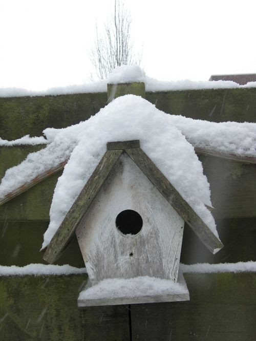 Birdhouse, Sniegas, Žiema, Šaltas, Snieguotas, Balta, Sniego Kraštovaizdis