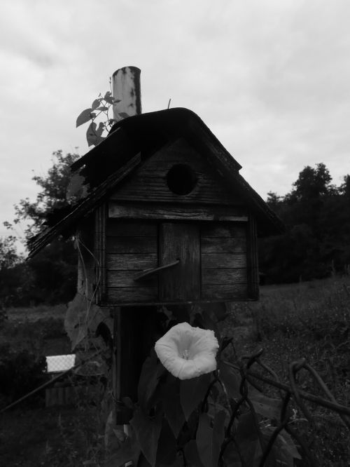Birdhouse,  Birdhouse